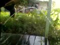 Kencing Asin images Kencing Asin