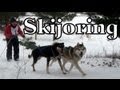 Skjior Clear Lake Sled Dog Races 2012 Siberian Husky Mush MUSH Dog Sledding default Skjior Clear Lake Sled Dog Races 2012 Siberian Husky Mush MUSH Dog Sledding