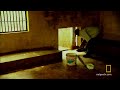 Chimp Escape