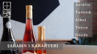 Şarabin 5 Karakteri̇ - Bunlari Bi̇lmeden Ne Anladim Ben Şaraptan