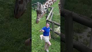 Park Zoo