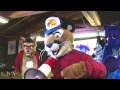 furry