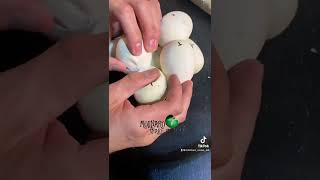 When Good Eggs Go Bad