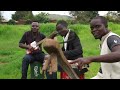 Macheza Galang'ombe Boys Band