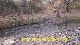 Mustafa Gündoğan Balıkesir Dursunbey Küçükler Köyü