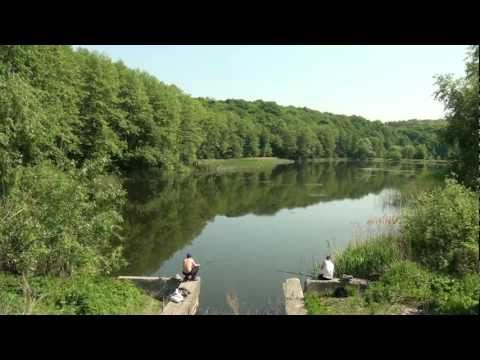 Киев, Голосеево-Китаево-Пирогово-ВДНХ