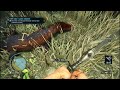 絶滅危惧種xbox360