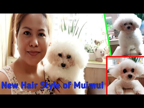 New Hair Style of Muimui