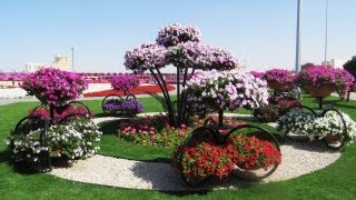 Dubai Miracle Garden World's Largest Natural Flower Garden, Dubailand