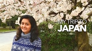 Indian Girl In Japan All About Cherry Blossom