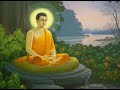 thich tam man