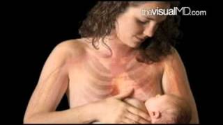 Breast Milk - Thevisualmd