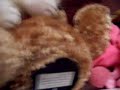 Stress Ninja's Stuff Animals!