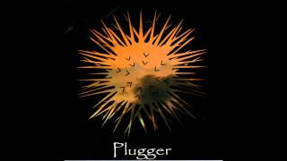 Plugger-Fidgit