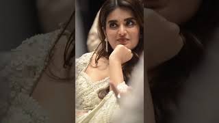 Agarwal Visuals At Pawan Kalyan Song Launch Taara Song Video
