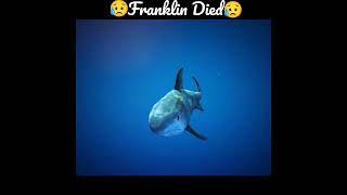 Franklin Attacked By Shark In Gta5