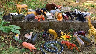 100 Animal Toys Playing in The Park - Learn Animals Names with Animals Toys Collection