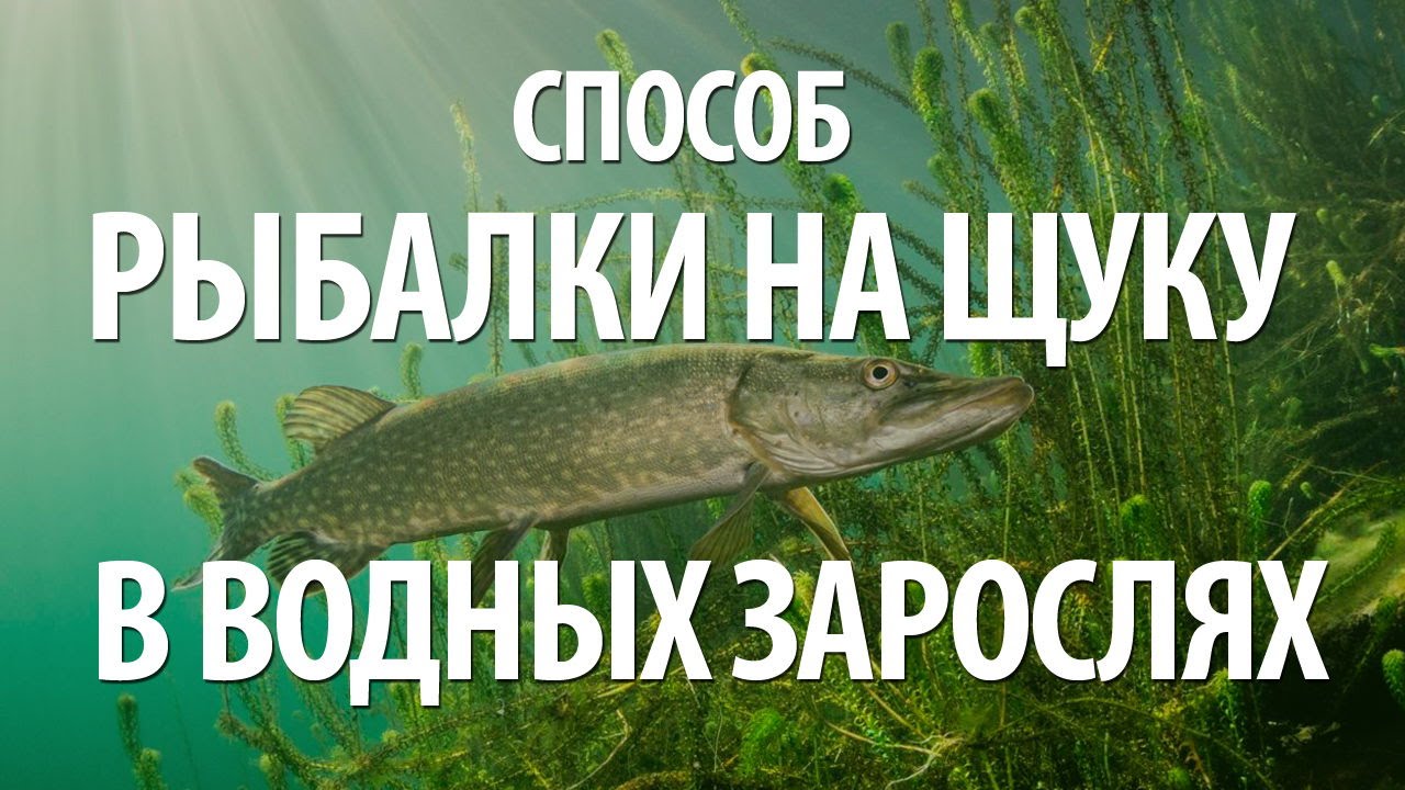 Стульчики для рыбалки Стульчики для рыбалки