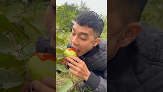 Ăn Trái Cây Như Thế Này Và Cậu Bé Tốt Bụng...ăn Quả Ổi Như Thế Này Và Anh Trai