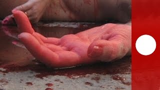 Naked Protest Animanaturalis Challenge Fur Trade With Fake Blood, Spain
