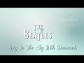 The Beatles Lucy In The Sky With Diamonds (Tradução) Tema de Abertura Império (Dan Torres) HD 2014.