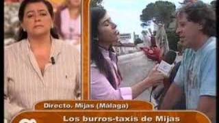 Burro-Taxi Y Maria Del Monte