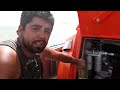 greenpeaceupdate