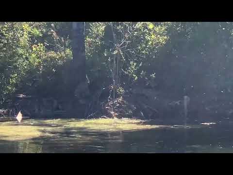 Tropa dá pesca!(vd-26)#pedroaugustopescador #pesca #pescaria Tropa dá pesca!(vd-26)#pedroaugustopescador #pesca #pescaria