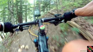 Hidden Fortress, Everything And & Slip - Mountain Biking Don Valley