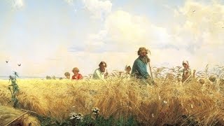 Граница там, где крестьянин пашет