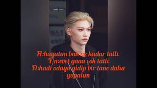 Stray Ki̇ds İstek Tepki̇