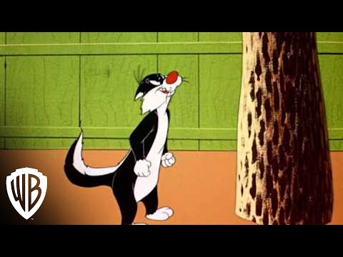 puppy le pew looney tunes pepe le pew collection pounded own it now puppy le pew looney tunes pepe le pew collection pounded own it now