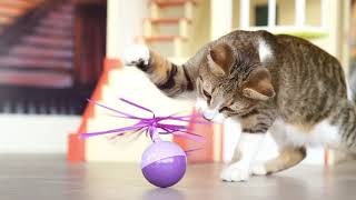 Smartykat Twirly Top Electronic Cat Toy