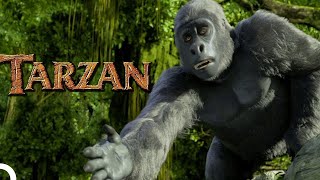 Tarzan - Çizgi Film (Türkçe Dublaj HD)