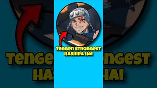 Tengen Uzui The Flashiest & Strongest Hashira Ever