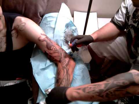20 Videos relacionados de "falcon tattoo"