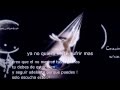 Mc Dawer -