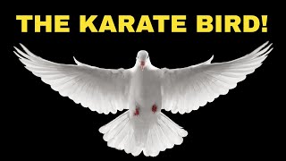 The Karate Bird: The Wado-Ryu Dove | ART OF ONE DOJO