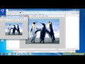 Matlab Image processing Tutorial in Tamil - Resize a Image
