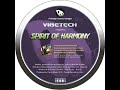 Vibetech - Ibiza Funk Beats (Original Mix)