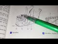 Section A - Question 19 - Mandibular Bone