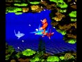 Aquatic Ambiance 10 Hours - Donkey Kong Country