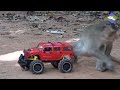 How To Make Fun With Monkeys - Everyday Monkey Funny Videos
