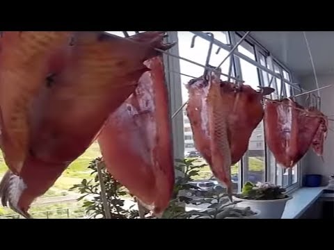 Балык из карася в домашних условиях 53