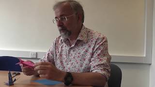 How to make an origami dolphin | Whale and Dolphin Conservation