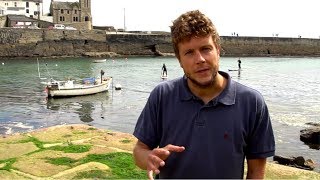 Tomas Chaigneau, Environment and Sustainability Institute, University of Exeter