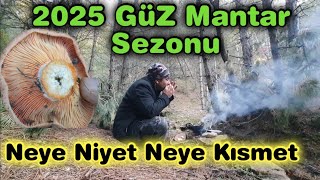 2025 Sonbahar Mantar Sezonunu Açtık, Kanlıca Mantarı Arama, İstiridye Mantarı, Kara Tavada Mantar