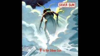 Watch Silver Sun Animals Feet video
