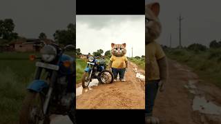 Sad Cats Bike Got Punctured