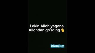 Islomi Uz